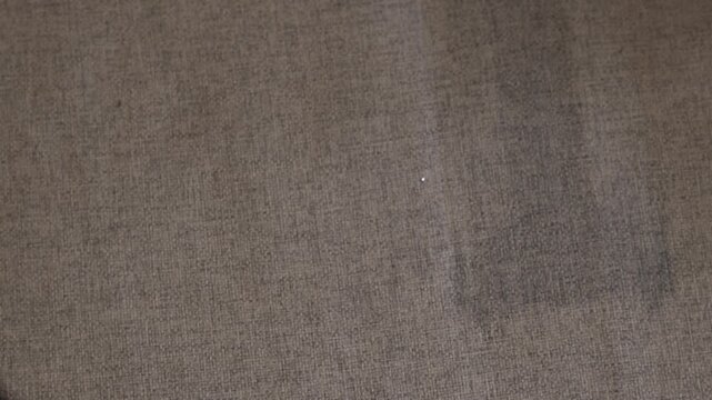 Steam cleaner smooths and refreshes fabric at home in the morning