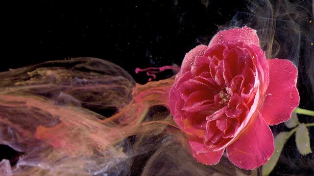 Rose drifting through vaporous ink, wide studio composition with smoky waves and trailing pigment, cinematic artistic shoot conveying motion