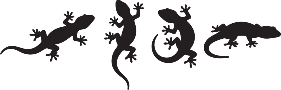 Lizard Gecko Silhouette Vector Set for Wildlife Reptile and Tropical Animal Design