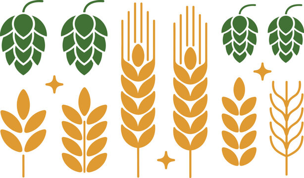 Vector illustration of green hop cones and golden wheat stalks with decorative star elements representing brewing ingredients in modern design