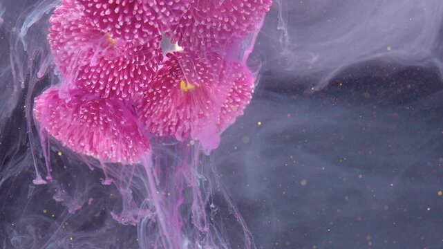 Pink petal cluster in vortex of colored water, cascading ink ribbons and tiny golden flecks, editorial studio shot evoking motion, luxury fragrance