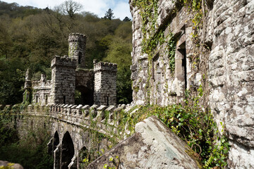 Ancient Irish castle ruins stand shrouded in mystery, inviting exploration of timeless history and abandoned grandeur within a lush green forest landscape. © George