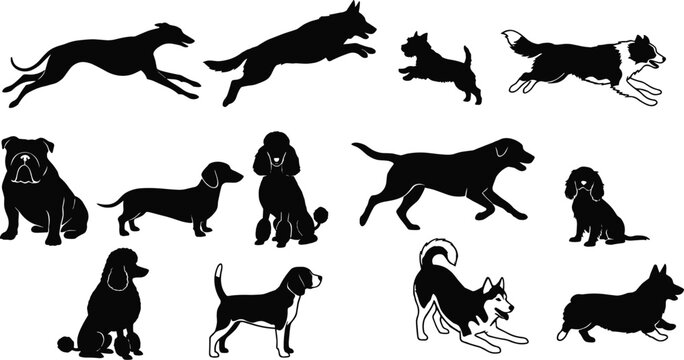 Dog silhouette set featuring multiple breeds and dynamic poses including running jumping sitting and playing isolated vector collection