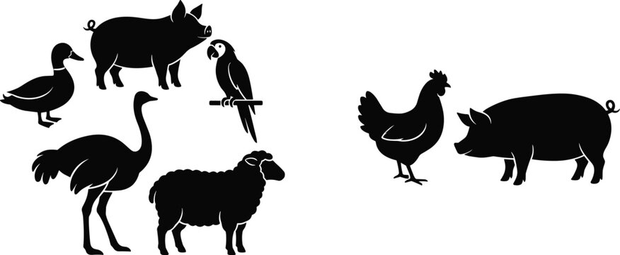 Farm animal silhouette set including pig chicken duck sheep ostrich and parrot isolated black vector collection for agriculture design