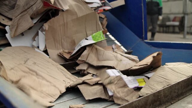 Paper and cardboard recycling. Waste paper and cardboard are loaded onto a pressing conveyor. Recycling of secondary raw materials. Industry and ecology. Paper and cardboard recycling.