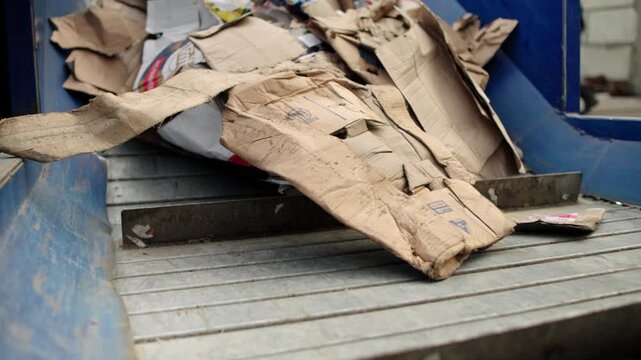 Paper and cardboard recycling. Waste paper and cardboard are loaded onto a pressing conveyor. Recycling of secondary raw materials. Industry and ecology. Paper and cardboard recycling.