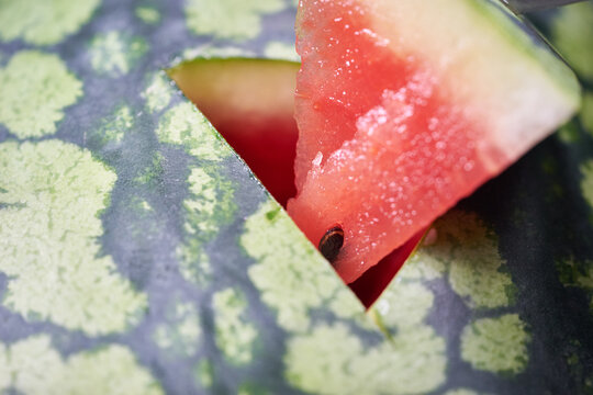 This series shows midsummer watermelon farming inside a sunlit greenhouse. Large striped watermelons grow along vines, and a close-up reveals crisp red flesh, highlighting fresh summer agriculture.