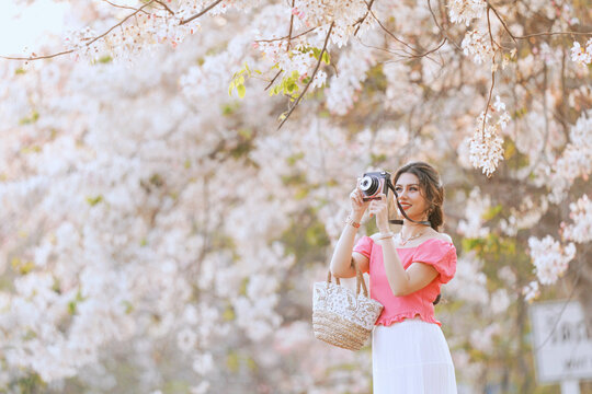 Portrait of a young woman standing in front of flowering sakura trees in springtime taking a photo with her camera, Thailand