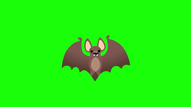 Bat on a green background