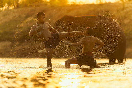 Two Muay Thai boxers standing in a river fighting in front of an elephant at dusk, Thailand