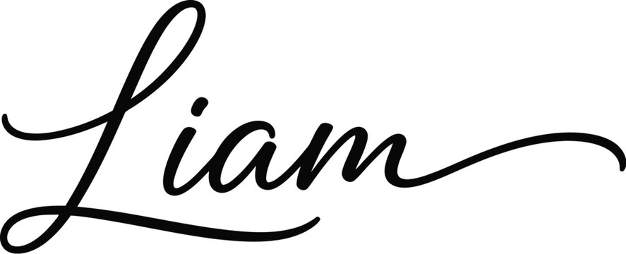 elegant cursive signature liam calligraphy black ink on white background