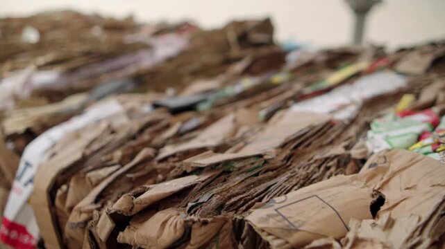 Industrial processing of waste paper and cardboard. Close-up of pressed cardboard.