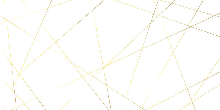 Abstract randomly gradient vector white striped line pattern shape art wallpaper. modern seamless fabric striped minimal smooth futuristic diagonal thin vintage background.