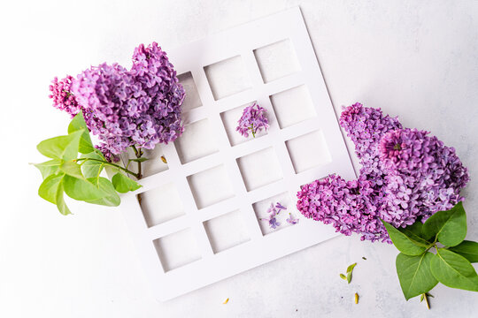 Overhead view of a Fresh lilac flowers on a table with a white frame