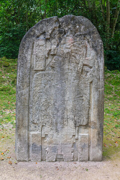 Mayan Stela 16 depicting king Jasaw Chan Kawiil, Tikal national park, Guatemala.