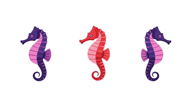 Three Cute Seahorses: Two Purple, One Red, Isolated on White Background