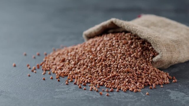 Natural buckwheat are scattered out of the bag. Sack of buckwheat spill. Organic buckwheat in sack on a dark stone table. buckwheat spilled out of the bag a dark table.