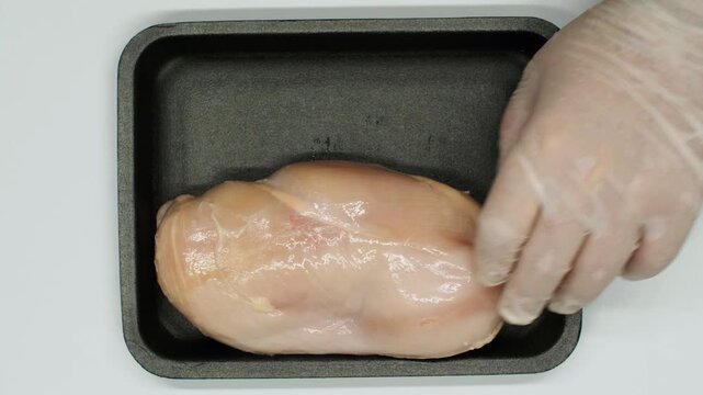 Hands place a chicken breast into a Styrofoam container isolated on a white background. Factory packaged chicken meat. Chicken meat package.
