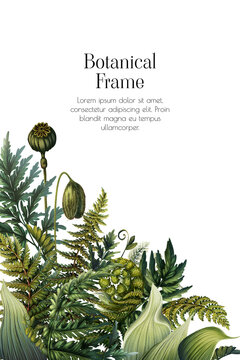 Elegant frame of green forest leaves. Illustration template with green leaves. Leafy print for card. Botanical invitation with green plants and fern