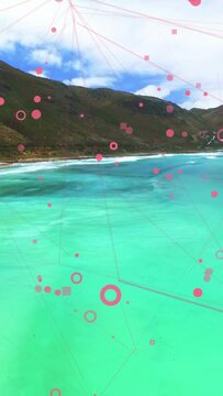 Vertical video: After camera tilt, bay shifting, pink nodes converging, revealing kelp beds