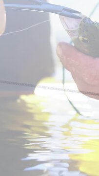 Vertical video: Male angler reacting to taut fishing line, using pliers to remove hook from fish