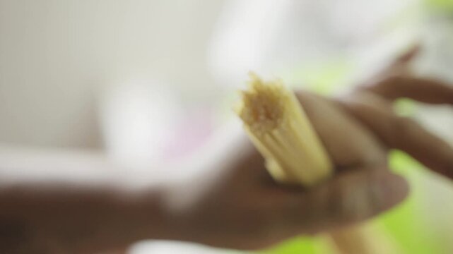 Close view of hand holding bundle of uncooked spaghetti pasta, dry strands gathered together, ingredient ready for boiling, simple kitchen preparation moment with soft background