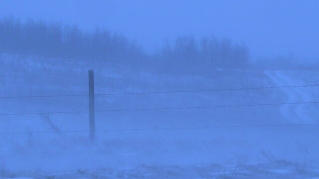 Winter blizzard: Snow blows past barbed wire fence in cold, flat light