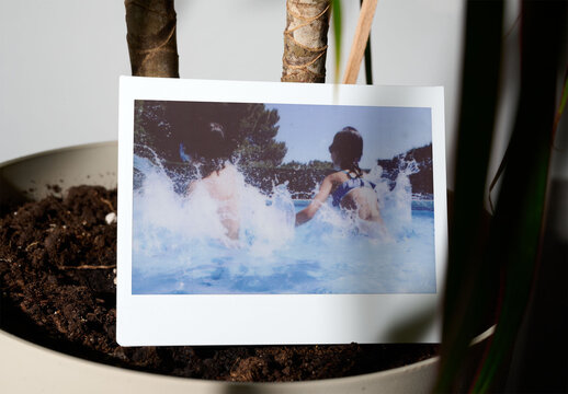 Mockup Template of Wide Polaroid Near a Plant Pot