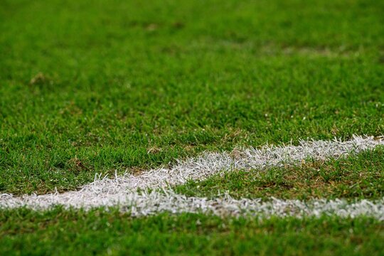 Green soccer pitch grass with white field marking, minimal sports background with shallow depth of field and copy space.