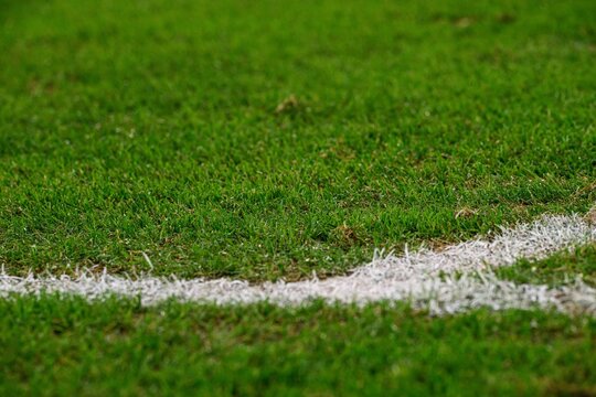 Green soccer pitch grass with white field marking, minimal sports background with shallow depth of field and copy space.