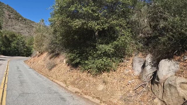 Dynamic POV driving on scenic twisty mtn valley road in rustic valley
