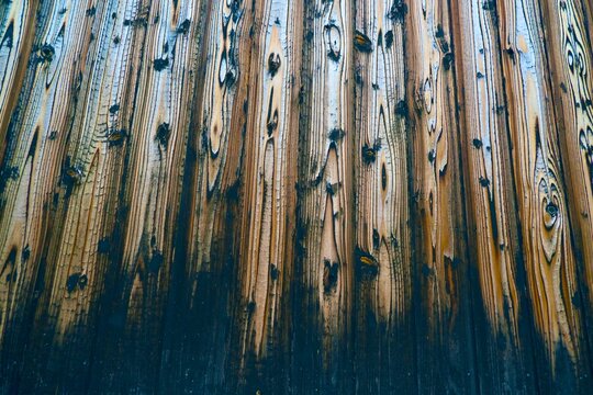 Charred Wooden Plank Wall Texture with Burnt Grain Pattern