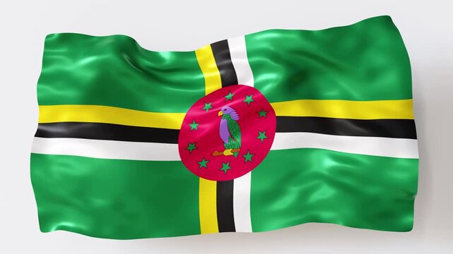 A detailed 3D animation of the national flag of Dominica waves gently. The flag features vibrant colors and a unique design. This animation highlights the flag's movement and design