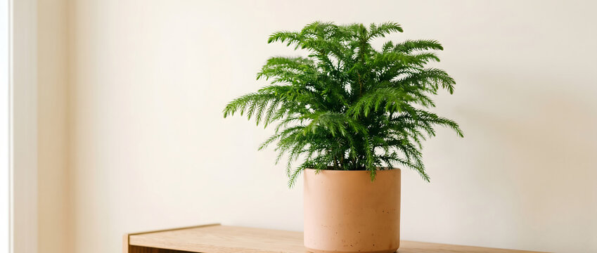 This is a minimalist indoor scene featuring a lush potted fern placed on a wooden side table against a neutral-toned wall, creating a calm home decor setup.