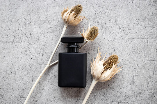 Stylish men perfume in a black bottle top view. Male fragrance and cosmetic concept