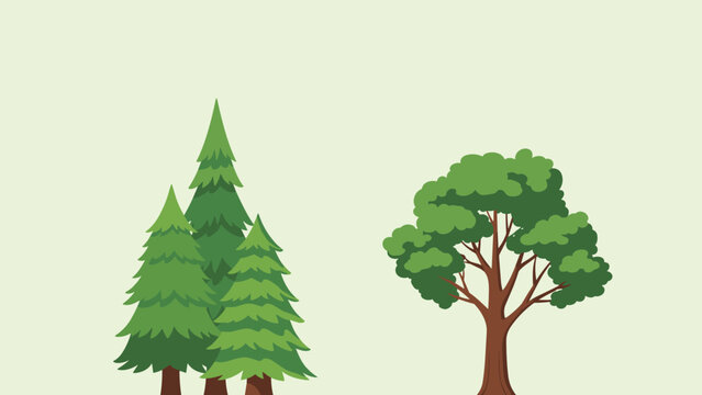 Scene with several evergreen pine trees and a large deciduous tree with green foliage on a light green background.