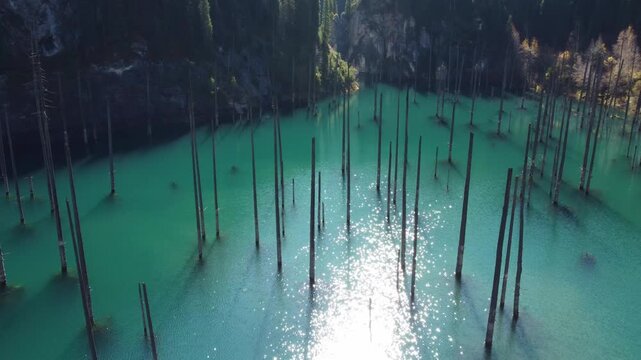 Low aerial glide over the turquoise Lake Kaindy with sunken forest, Kazakhstan, Lake Kaindy. High quality 4k footageCinematic low angle drone tracking shot skimming close to the turquoise water