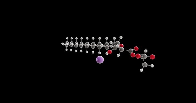 Sodium stearoyl lactylate molecule, rotating 3D model of stabilizer e481, looped video on a black background
