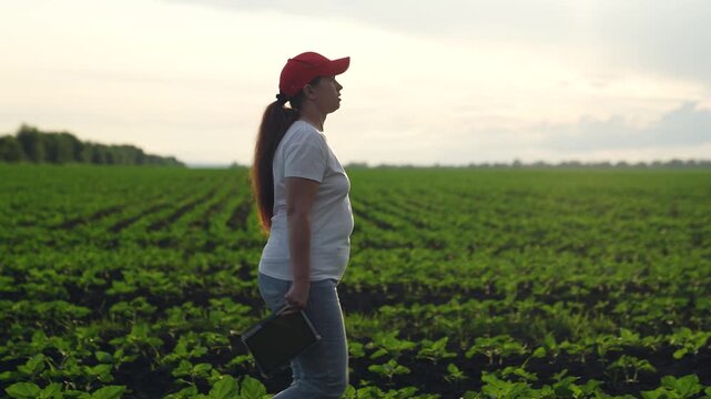 Agriculture, Woman evaluates farm seedling, Agriculture field with tablet, Rural woman uses smart device, Farm development scene, Female fieldwork expert, Digital transformation in crops, New
