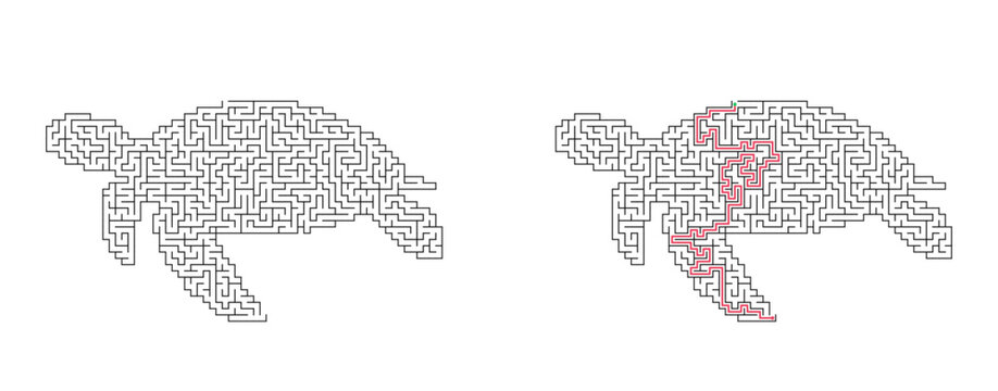 Turtle shaped maze with solution. Black and white flat vector labyrinth, fun logic puzzle game for kids and adults.