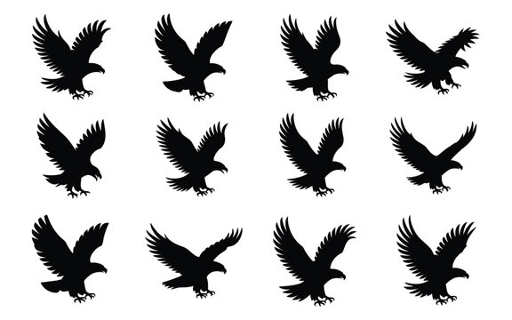 Collection of black eagle silhouettes in various flying positions on white background