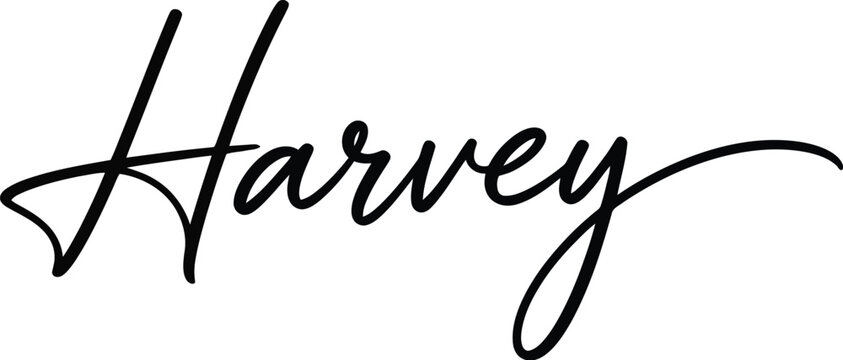 Elegant Harvey handwritten calligraphy name, brush script lettering, vector illustration