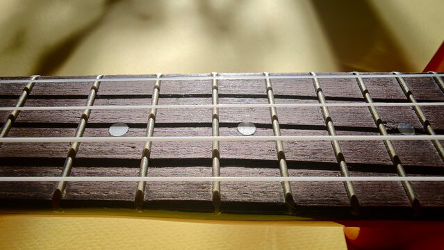 Close-up view of a guitar fretboard showcasing wooden texture, metal fret markers, and strings under natural light with a blurred background