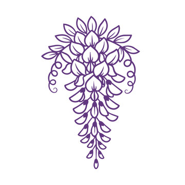 Japanese style wisteria flower vector illustration