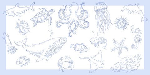 Set of hand drawn marine life animals. Collection of nautical creatures including whale, octopus, turtle, shark and fish. Blue outline illustration for educational design and art project. © Helena