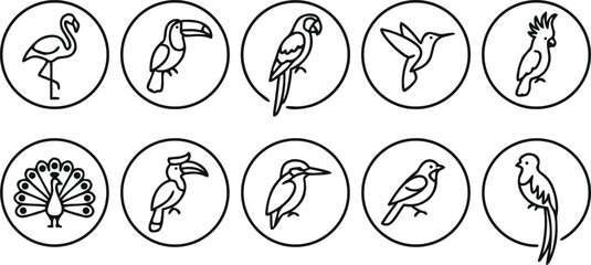 Tropical bird circle outline vector icon set for exotic wildlife travel blogs and nature conservation app interface design. © Sariful