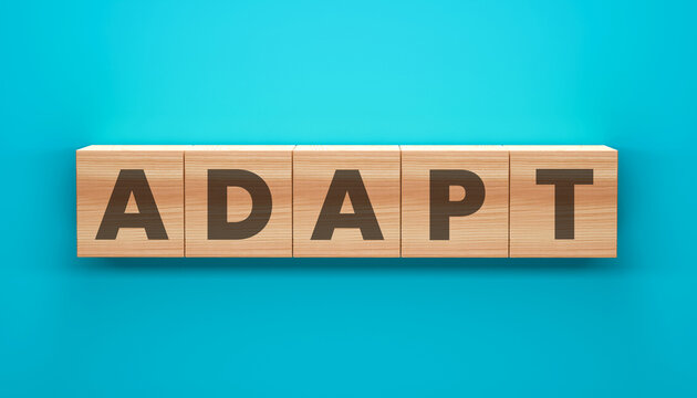 Adapt Wooden Blocks: A concise arrangement of wooden blocks spelling out the word Adapt, conveying a message of flexibility.