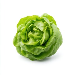 Obraz premium Fresh Green Lettuce Head Isolated on White Background for Culinary and Health Concepts in Food Photography
