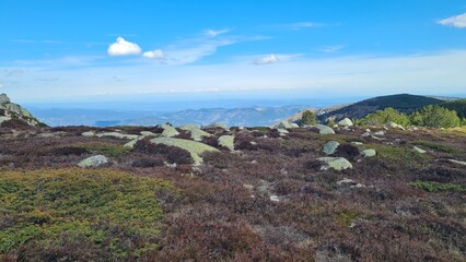 Fototapeta premium Les basses Cévennes et la plaine ardéchoise vus depuis les plateaux de bruyère du mont Lozère (parc national des Cévennes)