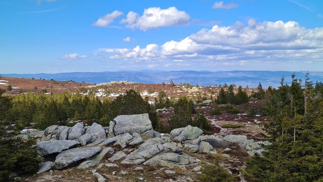 Les landes d'altitude du mont Loz&egrave;re vues depuis le pic Cassini (parc national des C&eacute;vennes)
